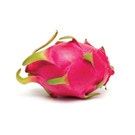 Not all chickens will eat this however. Fresh Dragon Fruit at Rs 500/piece | Dragon Fruit | ID: 18968322948