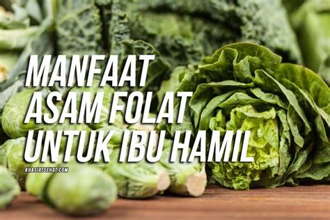 Manfaat Asam Folat Untuk Ibu Hamil Cabbage Vegetables Food Essen