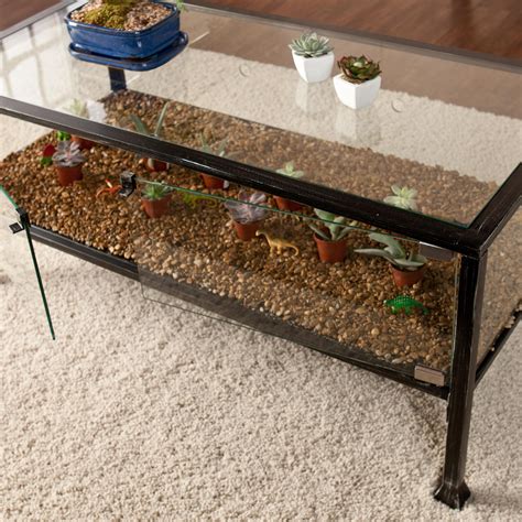 30 lbs (top), 20 lbs (interior) create a unique, thriving display with this lively end table. Amazon.com: Terrarium Display Cocktail Table: Kitchen & Dining