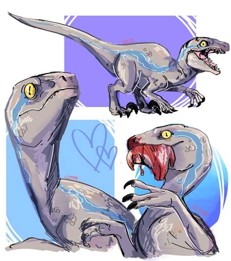 17 Best Images About Blue The Velociraptor On Pinterest Jurassic World Sketchbooks And