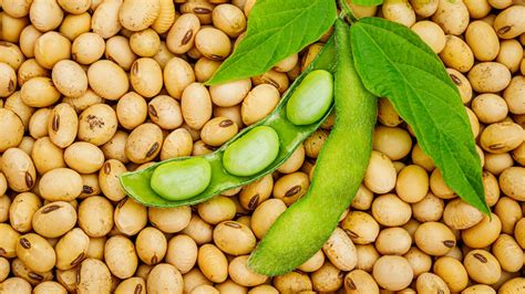 Foods To Avoid If You Have A Soy Allergy