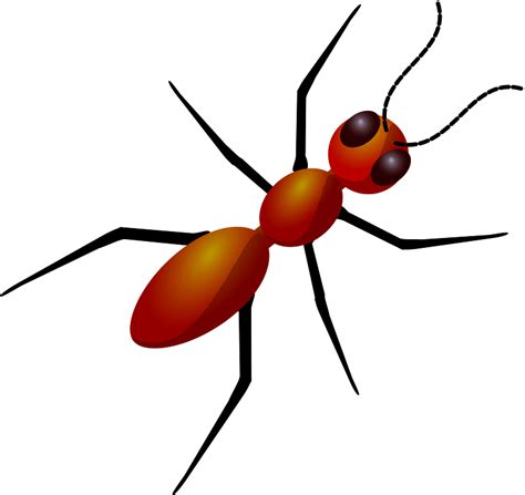 Ant Clipart Free Download Transparent Png Creazilla