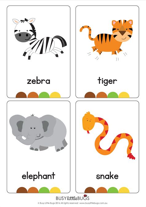 Zoo Flash Cards Flashcards For Kids Animal Flashcards Flashcards 5f7