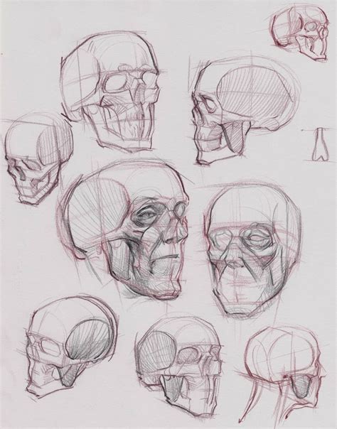 Assistance Provided Anatomy Sketches Human Figure Drawing Anatomy Art