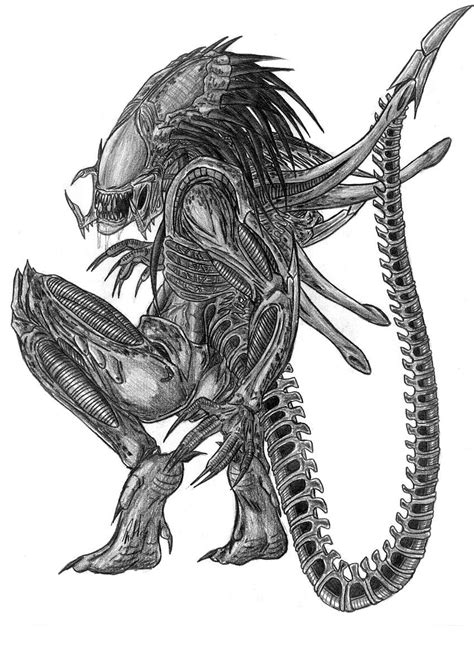 1920x1080px 1080p Free Download Best Predalien Predator Alien Vs