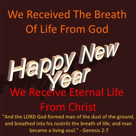 New Year New Beginning Kjb Daily Bible Study Bible Devotions