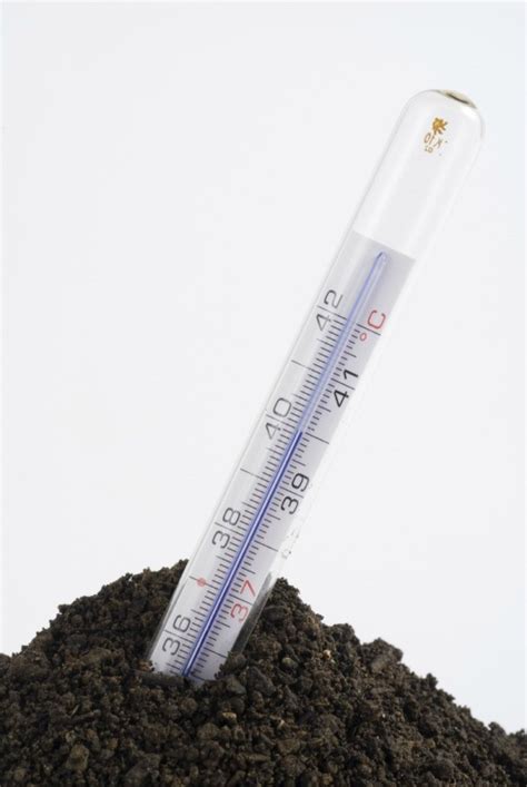 The Importance Of Soil Temperature To Growing Plants Thriftyfun