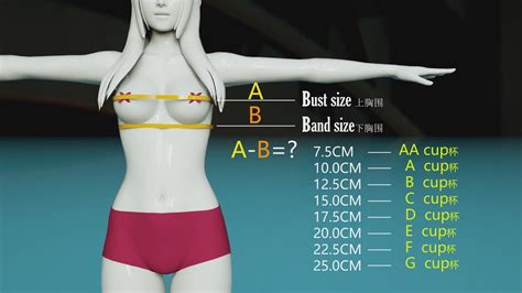 Bra Size Picture Comparison