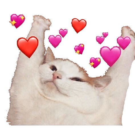 Freetoeditlove Cute Cat Gato Meme Heart Hearts Sticker