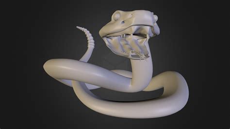 Rattlesnake Pos D Model By Micheleserpe Optksez Sketchfab