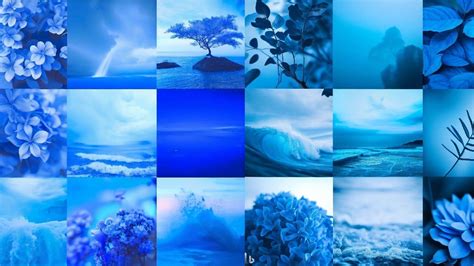 50 Beautiful Things That Are Blue In Nature Color Psychology