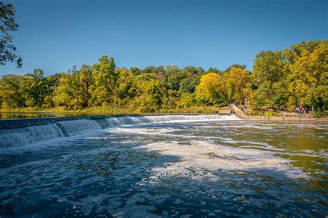 The Salmon Run Is Back In Toronto And Heres How To See The Action