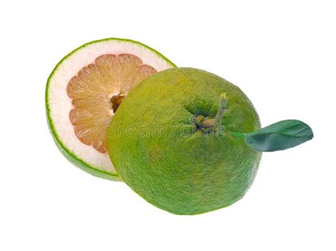Pomelo Fruit Isolated On White Background Stock Image Image Of Food