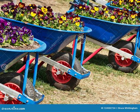Wheelbarrows With Flowers Stock Photography 107582726