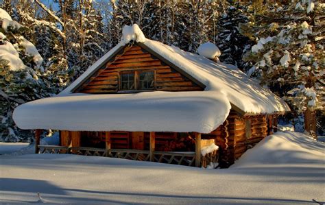 A Cozy Log Cabin Unconfirmed Breaking News ~ A Mistrusted News