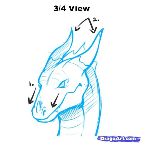 Steps Of How To Draw A Dragon