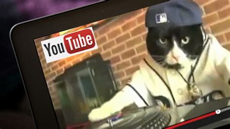 Meow The 40th A Cat Video A Day Keeps The Doctor Away Meow Factor