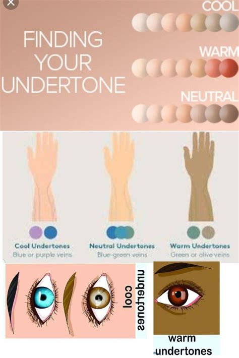 The Best How To Tell What Undertone You Are Ideas