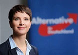 Germania: la presidente dell’Afd Frauke Petry lascia clamorosamente il ...