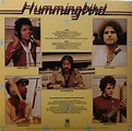 very fond of music Hummingbird
