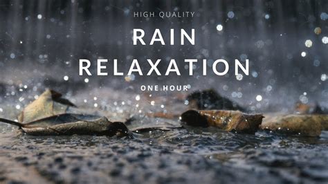 Thunder Rain Relaxation Hour High Quality Relaxing Sounds For Deep Sleep Meditation And