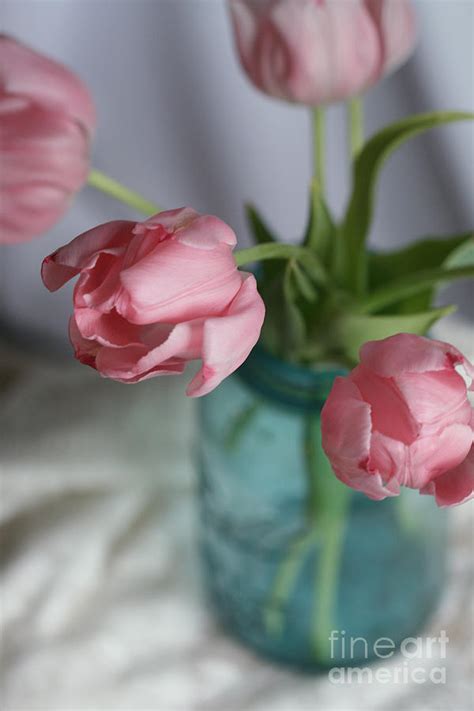 Pink Tulips In A Blue Mason Jar Photograph By Taphath Foose Pixels