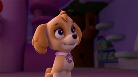 Skye Paw Patrol Patrulla De Cachorros Foto 40263660 Fanpop