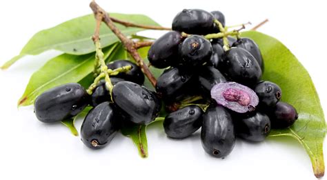 Jamun Information Recipes And Facts