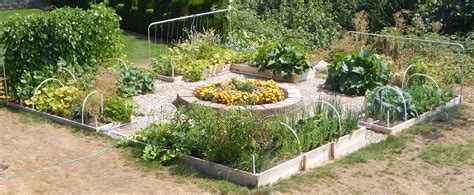 Elevated Vegetable Garden Layout Garden Layout