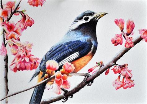 Check spelling or type a new query. Original Drawing Realistic Colored Pencil Bird With Pink