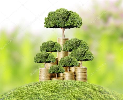Денежное дерево растущее из денег стоковое фото ©aeydenphumi 57572437