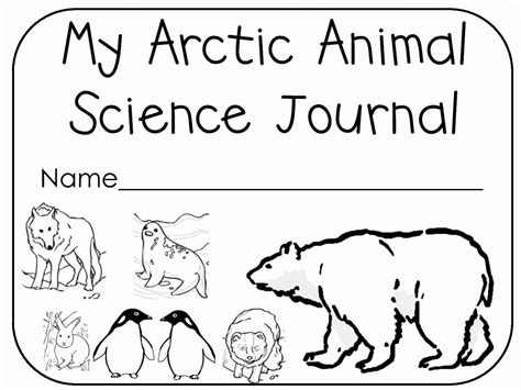 Free Printable Arctic Animals Coloring Pages High