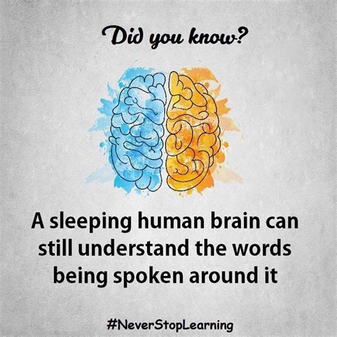 Mind Blowing Facts About Human Brain Musely