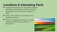 Fun Temperate Grasslands Facts For Kids