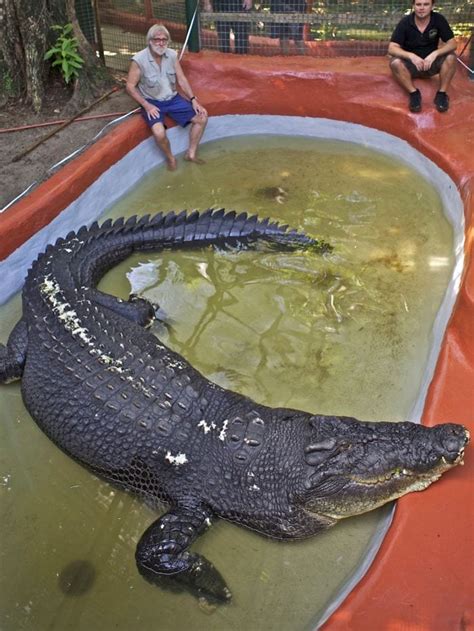 5 Largest Crocodiles In The World