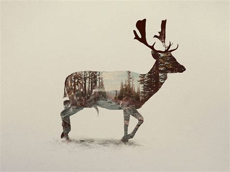 Beautiful Double Exposure Photos Blend Wildlife With Wild Terrain By