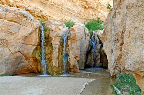 Tozeur Tamerza Chebika And Mides Canyons Half Day Trip Getyourguide