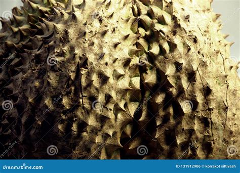 Durian Thorn Texture And Background Stock Image