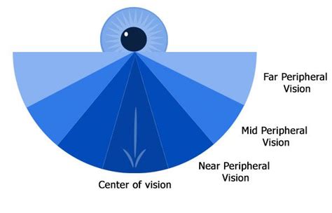 Designing For Peripheral Vision Reality On Web Peripheral Vision