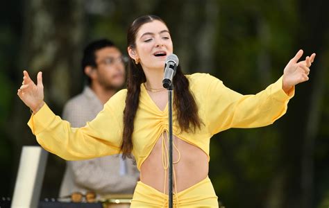 Lorde Admits She “shouldnt Have Gone” On Antarctica Trip That Inspired ‘solar Power