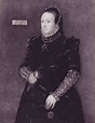 Lady Joan Elizabeth FitzAlan 19th GGM | Historical people, Renaissance ...