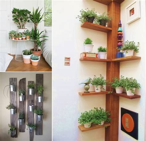 15 Amazing Ideas To Display Your Indoor Plants