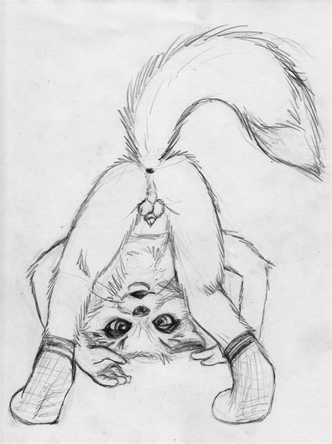 Rule 34 Anthro Ash Fox Balls Male Male Only Penis Solo Tagme The Fantastic Mr Fox 462972