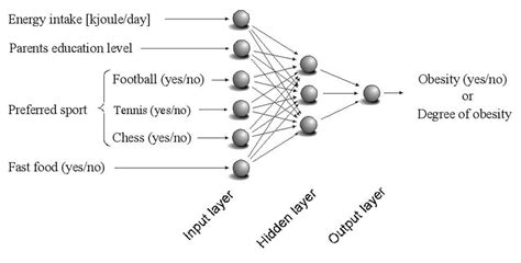 An Example For The Structure Of A Feed Forward Artificial Neural