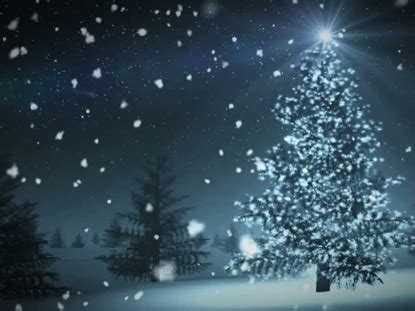 Read the loops section of the help area and our terms and conditions for more information on how you can. Christmas Tree Snow Loop | Flickering Mind Media ...