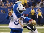 Being Blue: The man behind the Colts’ mascot | Fox 59