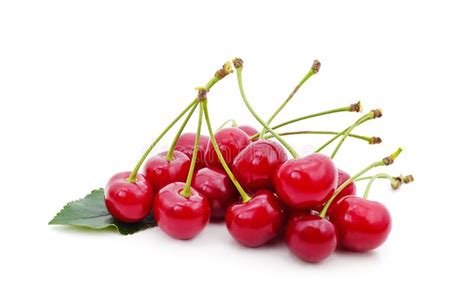 Red Ripe Cherries With Leaves Stock Image Image Of Green Vegetarian