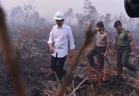 FOTO Jokowi Blusukan Asap Minta Tindak Tegas Pembakar Hutan