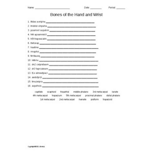 Bones Of The Hand And Wrist Vocabulary Word Scramble For Anatomy Or