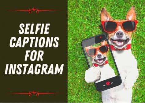 Maybe you would like to learn more about one of these? 101+ Selfies Captions for Instagram Photos (2021) - CarryQuotes.com